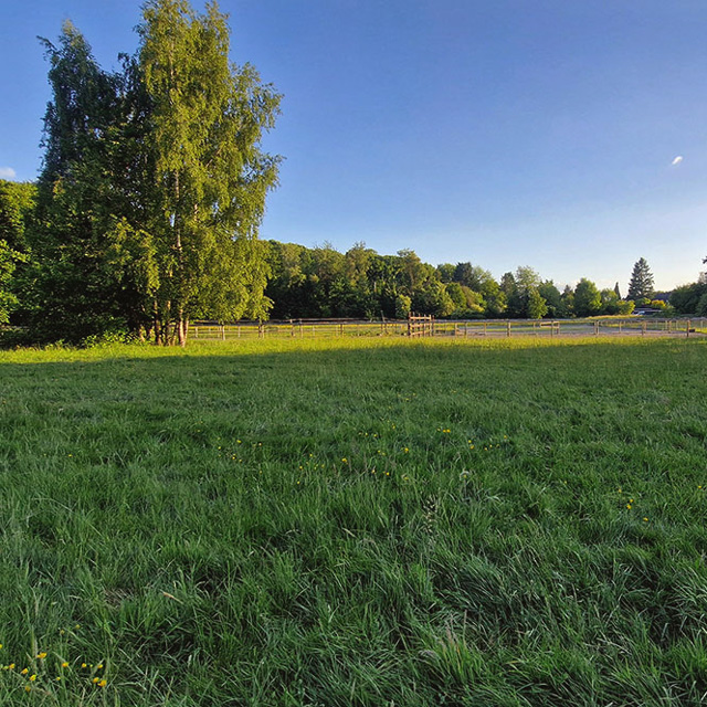 Reitstall Giesenkirchen Wiese Mönchengladbach