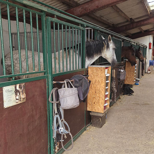Reitstall Giesenkirchen Boxen